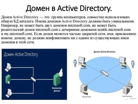 Сеть с доменами: определение, сущность и значение