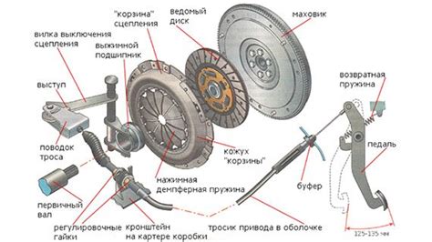 Сжечь сцепление: основные понятия