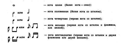 Сигналы и символы в музыке: что означает палочка под нотой?