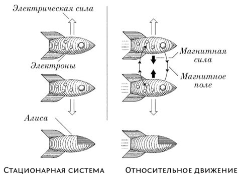 Силовое и защитное значение