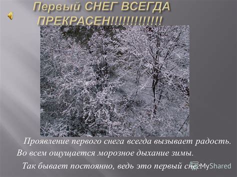 Символизм первого снега: проявление изумления в сновидении о зимнем диве