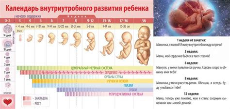 Символика беременности и движения ребенка в сновидениях