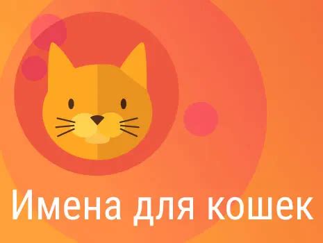 Символика и значения кошек и котов в сновидениях