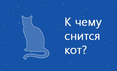 Символика кота во сне