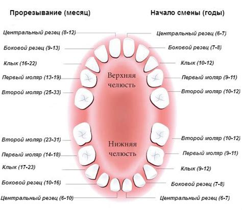 Символика неповрежденного и здорового зубного ряда в сновидениях