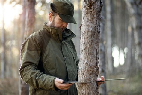 Символика охотничьей кошки в интерпретации образов сновидений