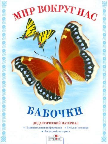 Символика полета бабочки уносит нас в мир изменений