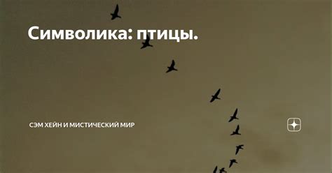 Символика птицы прекрасного окраса в сознании женщины по толкованию Миллера