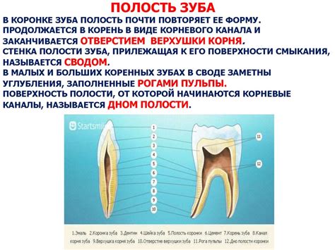 Символическое значение поврежденного переднего зуба в сновидении