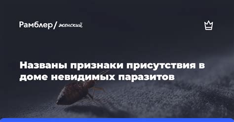 Символическое значение присутствия ёжа в доме во время сна