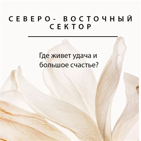 Символ притока позитивной энергии в сновидении о жареных круассанах у отца