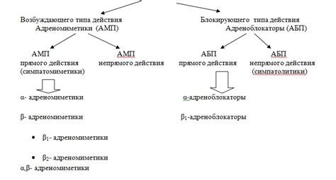 Симпатомиметики и их значение