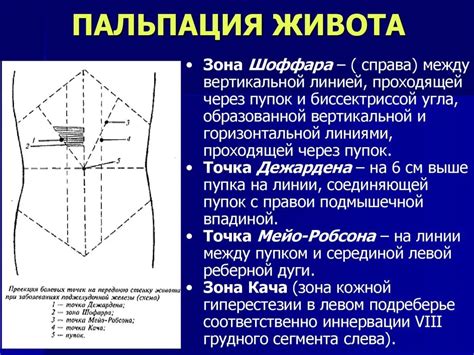 Симптомы болезненности живота