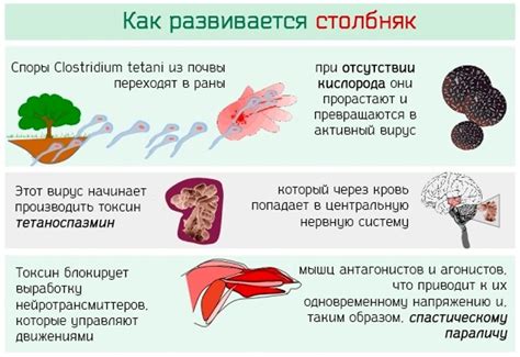 Симптомы заражения системы трояном