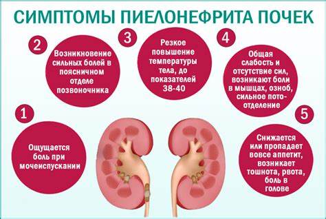 Симптомы и признаки пиелонефрита при латентном течении