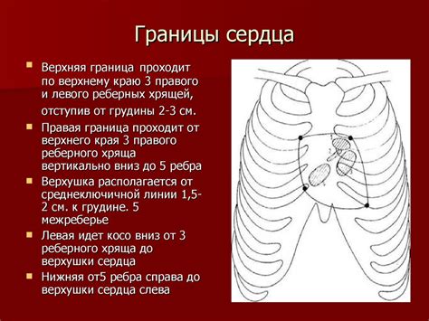 Симптомы левого расширения границы сердца