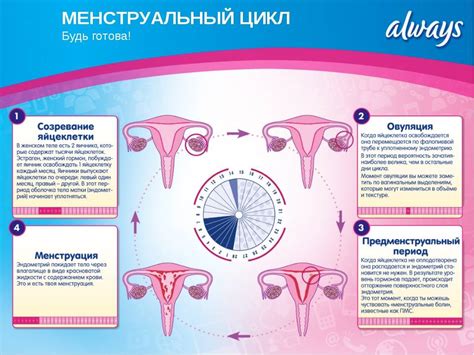 Симптомы нерегулярности менструального цикла