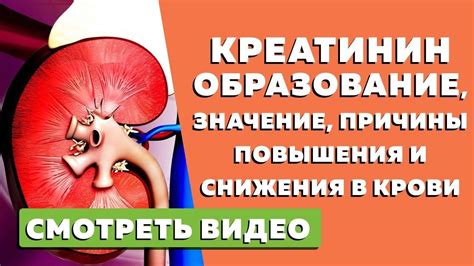 Симптомы повышения креатинина