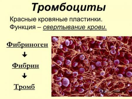 Симптомы повышенного содержания фибриногена