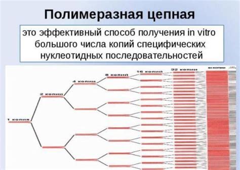 Симптомы реактивного плазмоцитоза