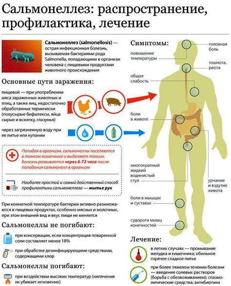 Симптомы сальмонеллеза группы С