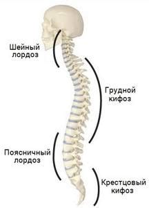 Симптомы сколиоза, на что обратить внимание