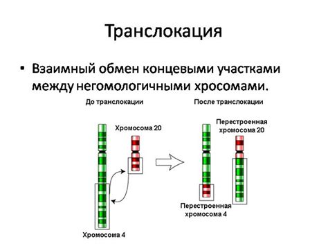 Симптомы транслокации хромосом