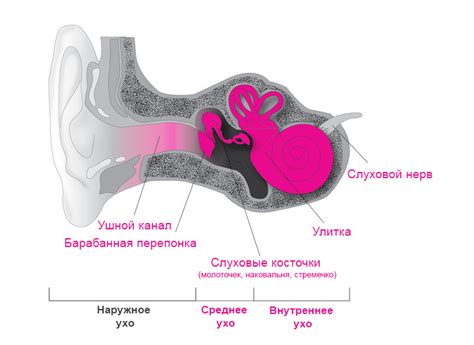 Симптомы тугоухости первой степени