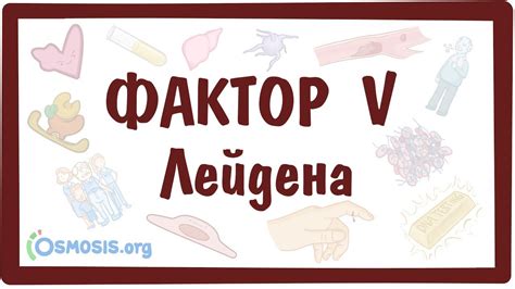 Синдром Лейдена: причины, симптомы и лечение