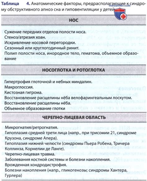 Синдром непроглядного лесного пейзажа во сне: разбор с психологической точки зрения