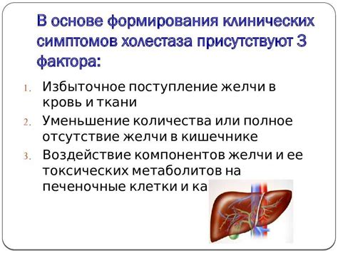 Синдром холестаза: полная информация, симптомы, причины и лечение