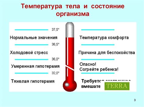 Синельников и повышенная или пониженная температура