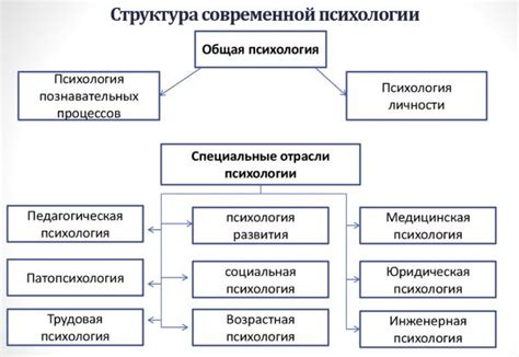 Синица в современной психологии и популярных течениях