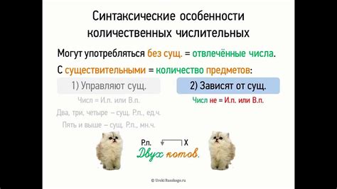 Синтаксические особенности адресного предложения