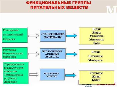 Синтез питательных веществ