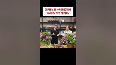 Сирень во флористике