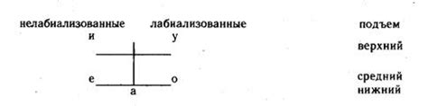 Система звуков аканья: разбор основных проявлений