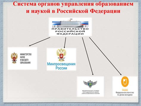 Система образования и науки