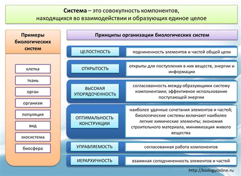 Система организации биологических основ