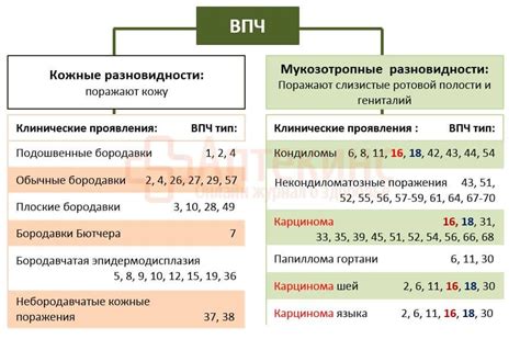 Системы классификации косвенных признаков ВПЧ