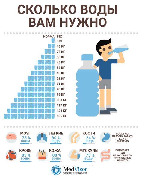 Сколько воды нужно запастись