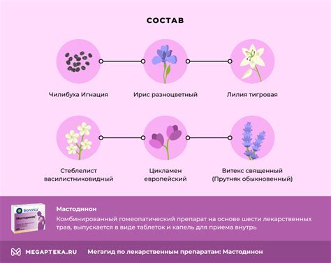 Сколько дней принимать Мастодинон во время цикла