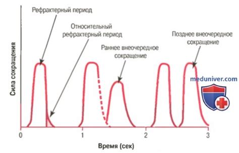 Скорость действия