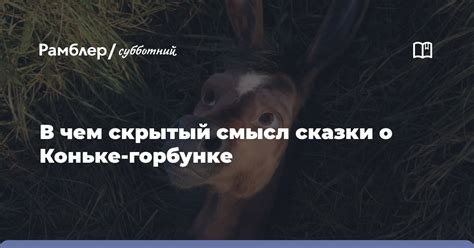 Скрытый смысл сновидения о стоимости коня