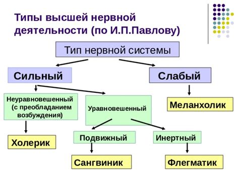 Слабый тип высшей нервной деятельности