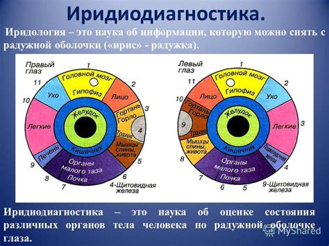 Следы времени на радужной оболочке: возрастные изменения