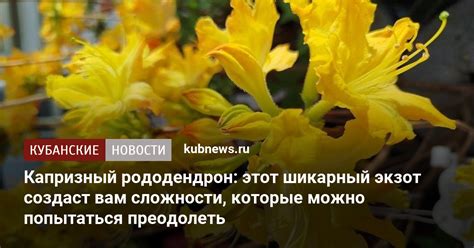 Сложности, которые можно преодолеть