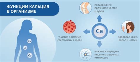 Сложности в определении НМПК внутри организма