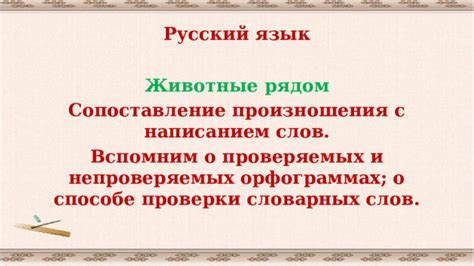 Сложности с написанием слов