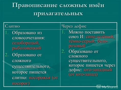 Сложные имена прилагательных в повседневной речи